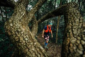 BIB: 
                            <button type="button" onclick="openModal(25669575)" class="btn btn-primary btn-sm float-right btn-popup" data-toggle="modal" data-target=".modal-high-quality">
                        <i class="fas fa-shopping-cart"></i> Add to Cart
                    </button>
                                            <button type="button" onclick="isThisMe(25669575, true)" class="btn btn-success btn-sm float-right btn-popup btn-isme hidden" data-toggle="tooltip" data-placement="bottom" title="นี่คือรูปของคุณใช่ไหม คลิกที่นี่เพื่อเอาเข้าอัลบั้ม">
                        <i class="fas fa-plus"></i> Add to album
                    </button>
                    <button type="button" onclick="isThisMe(25669575, false)" class="btn btn-warning btn-sm float-right btn-popup btn-isnotme hidden">
                        <i class="fas fa-ban"></i> Remove from album
                    </button>